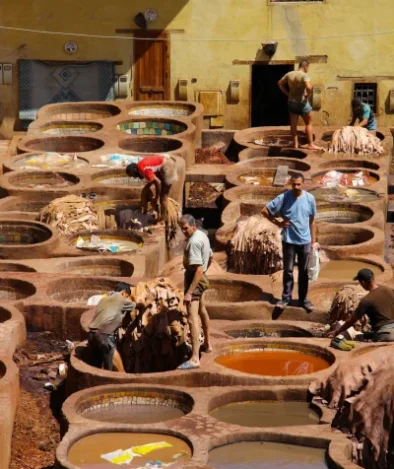 hbikvelevrgwgwlsm4hl