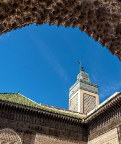 zjviavh7pdm0mznpvlvk