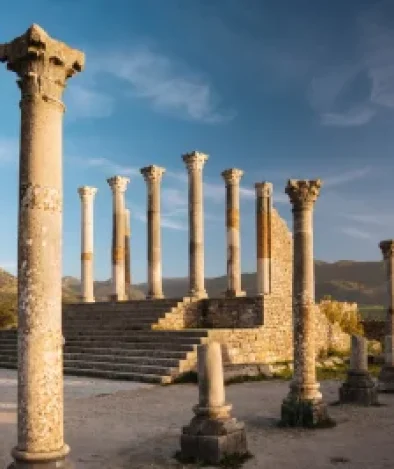 zlj83f3f2vkfvbbjwf5n